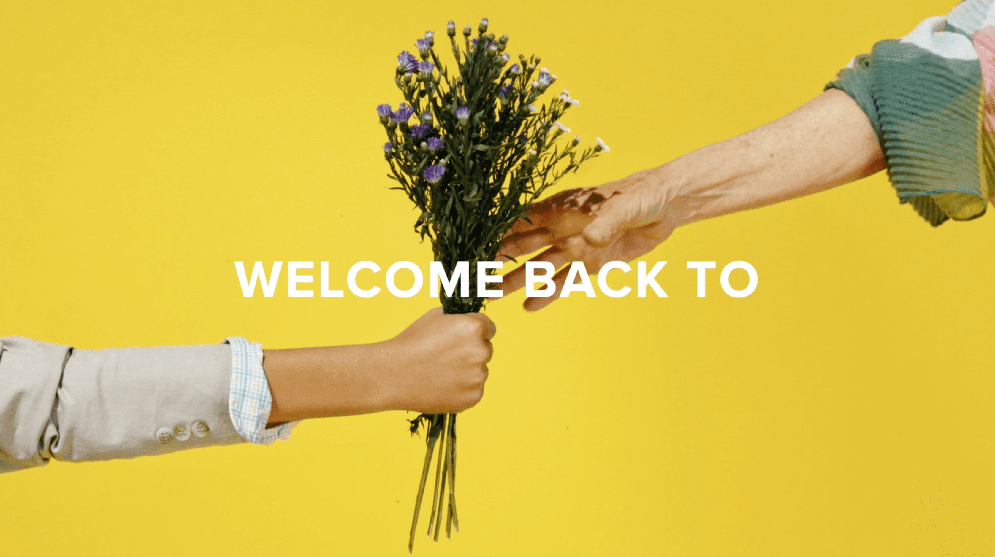 MOTION-BELK-WELCOME BACK